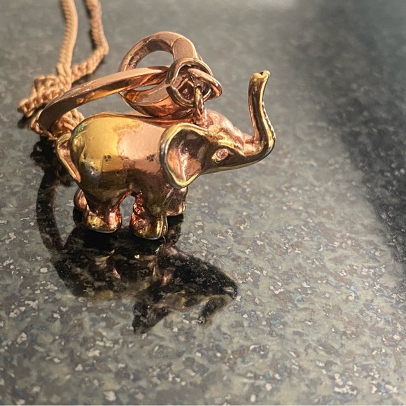 FOSSIL NECKLACE - Picture 7 of 9